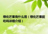 綠化芒果有什么用（綠化芒果能吃嗎詳細(xì)介紹）
