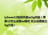 iphone12如何開(kāi)啟sa5g功能（蘋果12怎么設(shè)置sa模式 怎么設(shè)置獨(dú)立5g介紹）