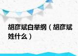 胡彥斌白舉綱（胡彥斌姓什么）