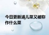 今日更新浦兒菜又被稱作什么菜