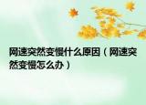 網(wǎng)速突然變慢什么原因（網(wǎng)速突然變慢怎么辦）