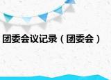 團(tuán)委會(huì)議記錄（團(tuán)委會(huì)）