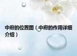 中府的位置圖（中府的作用詳細(xì)介紹）