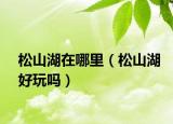 松山湖在哪里（松山湖好玩嗎）