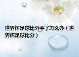 世界杯足球比分平了怎么辦（世界杯足球比分）