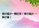 將計(jì)就計(jì)一網(wǎng)打盡（將計(jì)就計(jì) 一種計(jì)策）