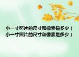 小一寸照片的尺寸和像素是多少（小一寸照片的尺寸和像素是多少）