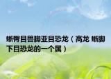 蜥臀目獸腳亞目恐龍（高龍 蜥腳下目恐龍的一個屬）
