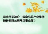 云南馬龍簡(jiǎn)介（云南馬龍產(chǎn)業(yè)集團(tuán)股份有限公司馬龍事業(yè)部）