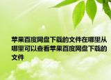 蘋果百度網盤下載的文件在哪里從哪里可以查看蘋果百度網盤下載的文件