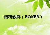 博科軟件（BOKER）