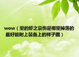wow（里的蝦之哀傷是哪里掉落的 最好能附上裝備上的樣子圖）
