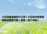 小花仙智慧星有什么用（小花仙中的美麗星智慧星勇氣星（等星）是干嗎的）