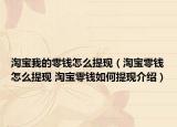 淘寶我的零錢怎么提現(xiàn)（淘寶零錢怎么提現(xiàn) 淘寶零錢如何提現(xiàn)介紹）