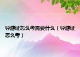 導(dǎo)游證怎么考需要什么（導(dǎo)游證怎么考）
