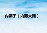 內(nèi)藤子（內(nèi)藤大湖）