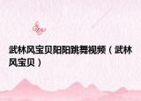 武林風寶貝陽陽跳舞視頻（武林風寶貝）