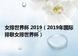 女排世界杯 2019（2019年國際排聯(lián)女排世界杯）