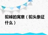 駝峰的寓意（駝頭象征什么）