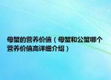 母蟹的營養(yǎng)價值（母蟹和公蟹哪個營養(yǎng)價值高詳細(xì)介紹）