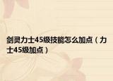 劍靈力士45級(jí)技能怎么加點(diǎn)（力士45級(jí)加點(diǎn)）