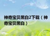 神奇寶貝黑白2下載（神奇寶貝黑白）