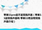 蘋果11pro是不是雙揚聲器（蘋果11是雙揚聲器嗎 蘋果11有沒有雙揚聲器介紹）