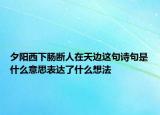 夕陽西下腸斷人在天邊這句詩句是什么意思表達了什么想法