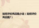 如何評價鳳囚凰小說（如何評價鳳囚凰?）