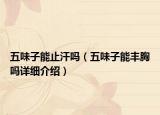 五味子能止汗嗎（五味子能豐胸嗎詳細(xì)介紹）