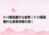 3+1隔離是什么意思（3 11隔離是什么意思詳細介紹）