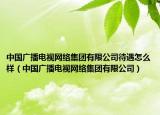 中國廣播電視網(wǎng)絡(luò)集團(tuán)有限公司待遇怎么樣（中國廣播電視網(wǎng)絡(luò)集團(tuán)有限公司）