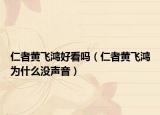 仁者黃飛鴻好看嗎（仁者黃飛鴻為什么沒聲音）