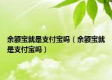 余額寶就是支付寶嗎（余額寶就是支付寶嗎）