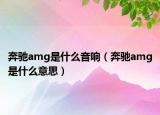 奔馳amg是什么音響（奔馳amg是什么意思）