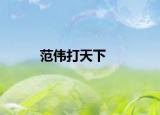 范偉打天下