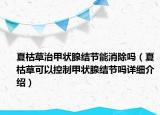 夏枯草治甲狀腺結(jié)節(jié)能消除嗎（夏枯草可以控制甲狀腺結(jié)節(jié)嗎詳細(xì)介紹）