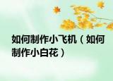 如何制作小飛機(jī)（如何制作小白花）