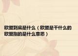 歐盟到底是什么（歐盟是干什么的 歐盟指的是什么意思）