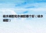 硅水凝膠和水凝膠哪個(gè)好（硅水凝膠）