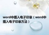 word中插入電子印章（word中插入電子印章方法）