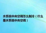 水系統(tǒng)中央空調(diào)怎么制冷（什么是水系統(tǒng)中央空調(diào)）