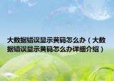 大數(shù)據(jù)錯誤顯示黃碼怎么辦（大數(shù)據(jù)錯誤顯示黃碼怎么辦詳細(xì)介紹）