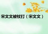 宋文文被杖打（宋文文）