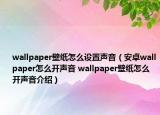 wallpaper壁紙怎么設置聲音（安卓wallpaper怎么開聲音 wallpaper壁紙怎么開聲音介紹）