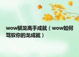 wow馴龍高手成就（wow如何駕馭你的龍成就）