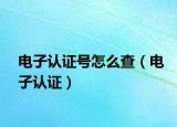電子認(rèn)證號(hào)怎么查（電子認(rèn)證）