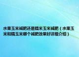 水果玉米減肥還是糯米玉米減肥（水果玉米和糯玉米哪個(gè)減肥效果好詳細(xì)介紹）