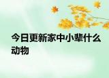 今日更新家中小輩什么動物