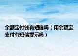 余額寶付錢有短信嗎（用余額寶支付有短信提示嗎）